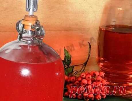 Как приготовить Домашнее вино из красной рябины рецепт с фото