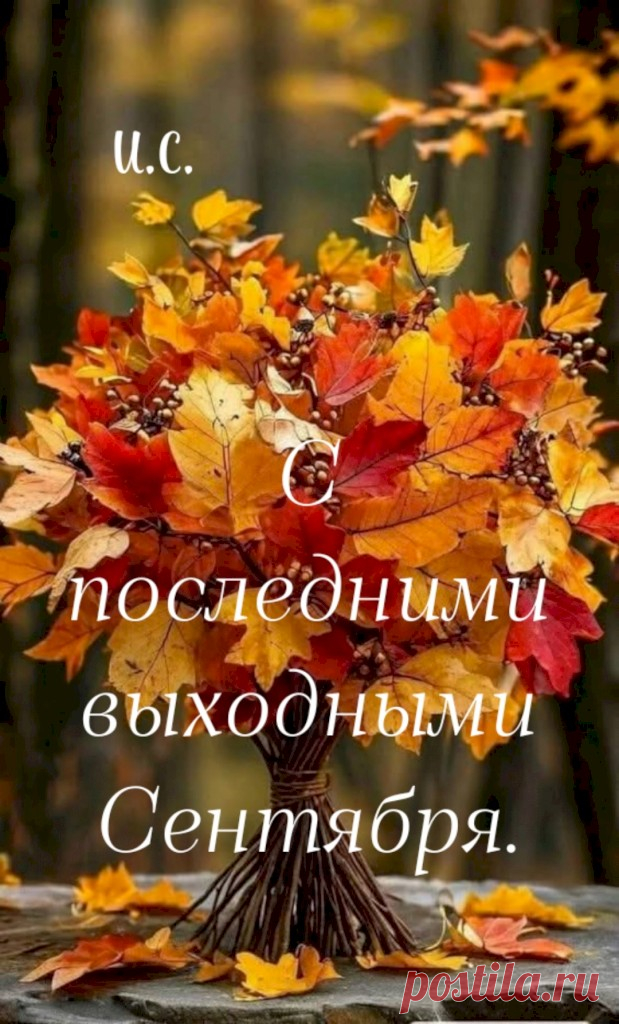 49fdefb3.jpg (619×1024)