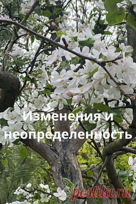 Изменения и неопределенность