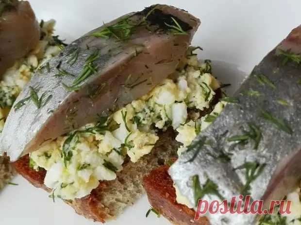 Забытый советский рецепт. Закуска из селедки. Просто, но очень вкусно - БУДЕТ ВКУСНО! - медиаплатформа МирТесен (mirtesen.ru)
Просматривайте этот и другие пины на доске Еда пользователя Елена.
Что говорят другие
Забыли вы, к примеру, как выглядит классический французский сырный пирог с сыром, а, может быть, его вкус вам знаком только по названиям?
Нет ничего проще, чем испечь такое чудо во фритюре!
Но если вы хотите, чтобы оно выглядело, как настоящее французское, сделайте его по нашему рецепту