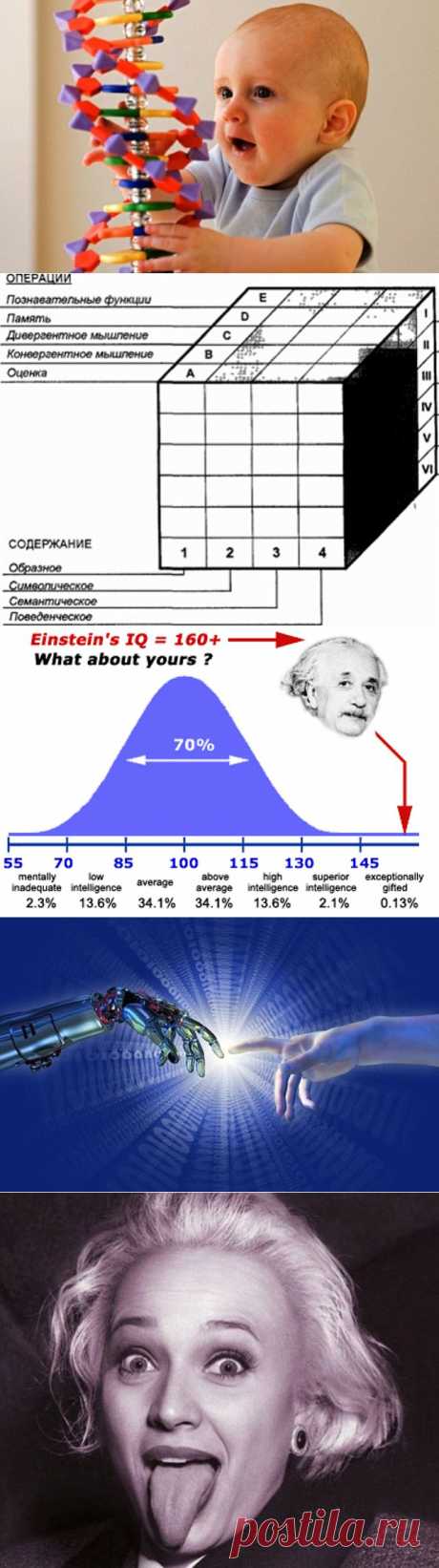О человеческом интеллекте.. 
Мужчины умнее женщин или наоборот? Тесты IQ говорят правду или все очень предвзято? Большой мозг - большой интеллект?

Ниже рассмотрены 10 теорий о человеческом интеллекте, которые либо были опровергнуты, либо подвержены резкой критике. Однако, любая из опровергнутых теорий в один прекрасный день может быть доказана.