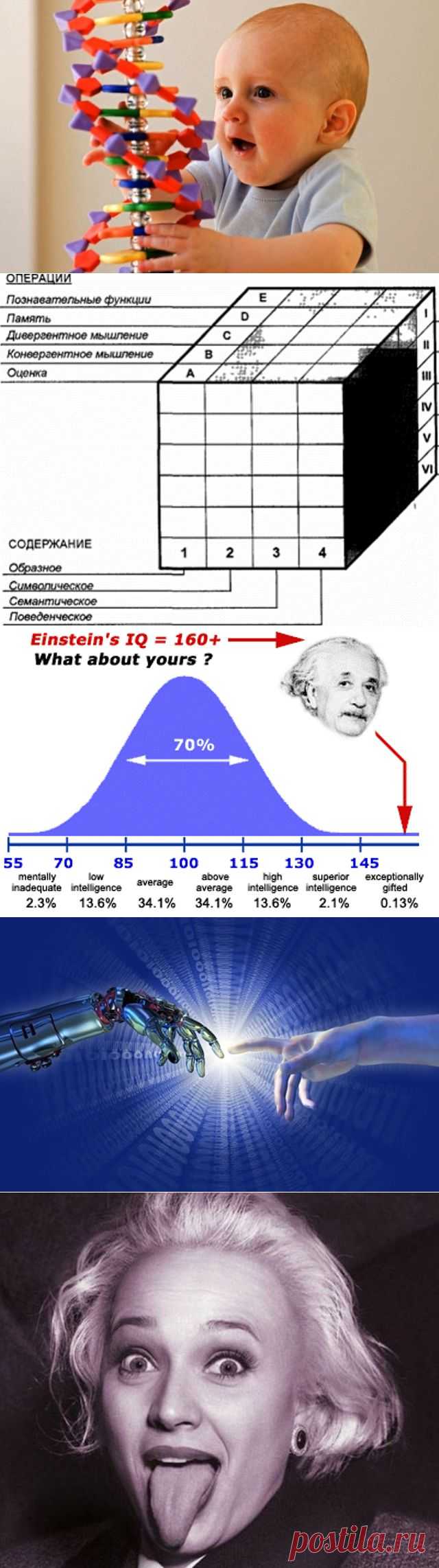 О человеческом интеллекте.. 
Мужчины умнее женщин или наоборот? Тесты IQ говорят правду или все очень предвзято? Большой мозг - большой интеллект?

Ниже рассмотрены 10 теорий о человеческом интеллекте, которые либо были опровергнуты, либо подвержены резкой критике. Однако, любая из опровергнутых теорий в один прекрасный день может быть доказана.