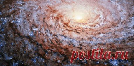 Физики открыли пятую фундаментальную силу природы / Научный хит