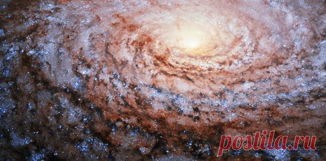 Физики открыли пятую фундаментальную силу природы / Научный хит