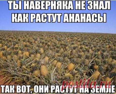 Интересные новости