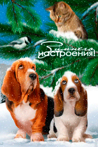 Зимнего Настроения!