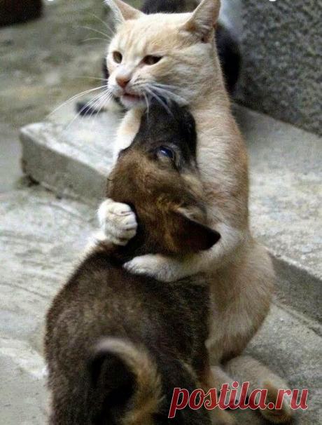 Не бойся, малыш! Я с тобой...