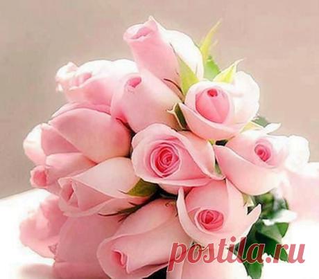 wasfee: В жизни я слышал многое — клятвы, обещания, комплименты, но лучшее, что я слышал — тишина. В ней нет лжи.