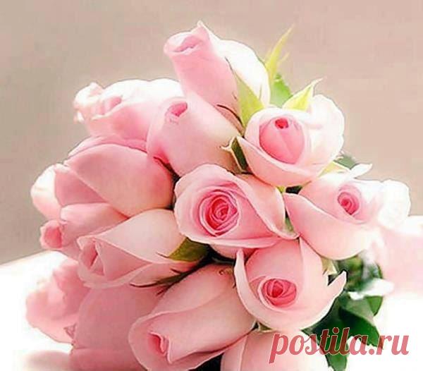 wasfee: В жизни я слышал многое — клятвы, обещания, комплименты, но лучшее, что я слышал — тишина. В ней нет лжи.