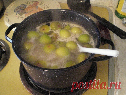 Консервированный инжир / Заготовка ягод / TVCook: пошаговые рецепты с фото