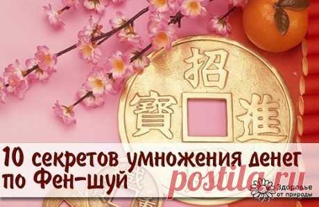 (5) Одноклассники