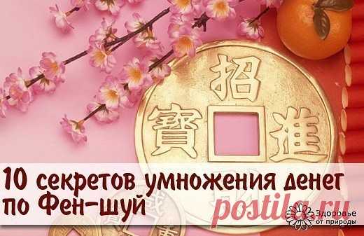 (5) Одноклассники