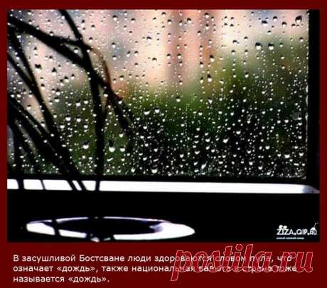 Интересные факты. Самые интересные факты обо всем на свете - i-fakt.ru