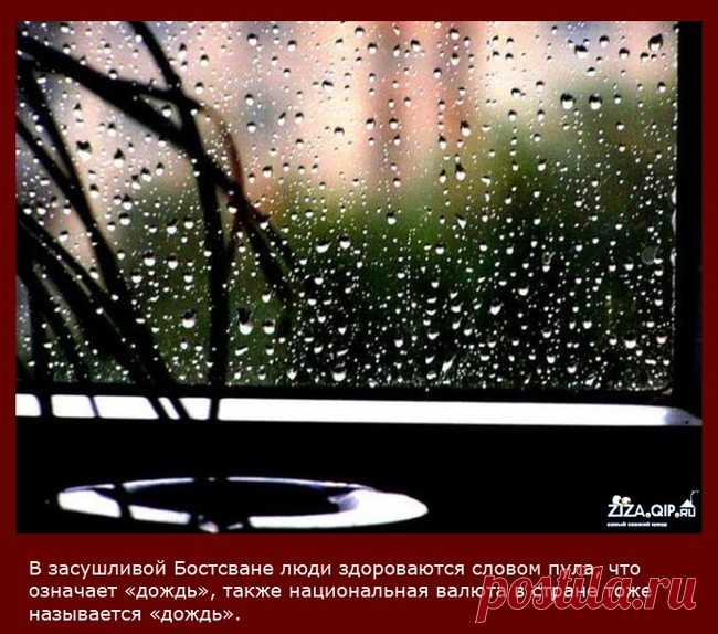 Интересные факты. Самые интересные факты обо всем на свете - i-fakt.ru