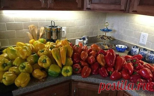 СОВЕТЫ БЫВАЛЫХ ОГОРОДНИКОВ ПО ВЫРАЩИВАНИЮ ПЕРЦА

1. Если на растениях перца в начале лета завязалось несколько плодов и после этого прекратилось цветение, то данные плоды необходимо отщипнуть. После такой процедуры наши растения цвести начнут с удвоенной энергией, а к концу сезона дадут нам просто грандиозный урожай.

2. Корни перца любят приток воздуха, который можно обеспечить частым рыхлением почвы и не допусканием образования почвенной корки.
Показать полностью…