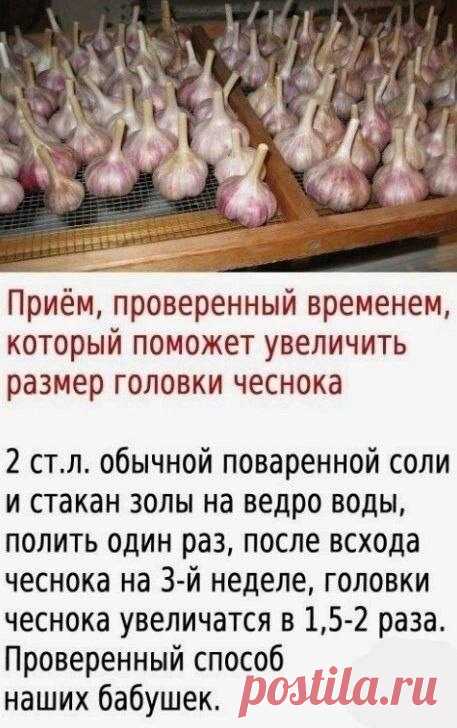 м