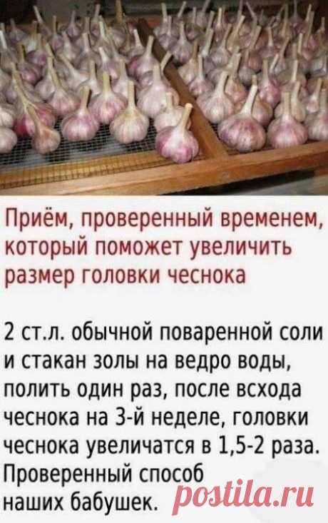 м