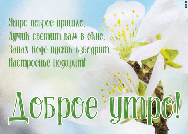 Пусть это доброе утро подарит настроение