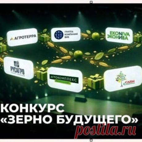 - #Конкурс для школьников Зерно будущего - конкурс, где природа встречается с наукой и твоим талантом.
#Конкурс_для_школьников Зерно будущего: #призы - #дипломы,
#награды, #подарки. #Публикация работы