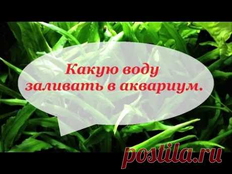 Какую воду заливать в аквариум.