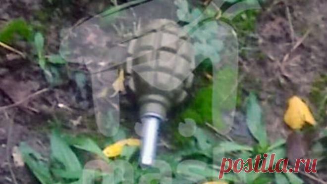 В Крыму россиянин нашел гранату рядом с детской площадкой. В Алуште мужчина случайно отыскал гранату недалеко от своего дома. Об этом сообщает Telegram-канал "Mash на волне". Инцидент произошел на Ялтинской улице. Мужчина вышел на балкон, чтобы сбросить рюкзак своему другу. В результате ...