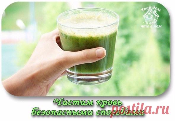 ЧИСТИМ КРОВЬ САМЫМИ БЕЗОПАСНЫМИ СПОСОБАМИ - ЗЕЛЁНАЯ СИЛА МАКОШИ - Группы Мой Мир