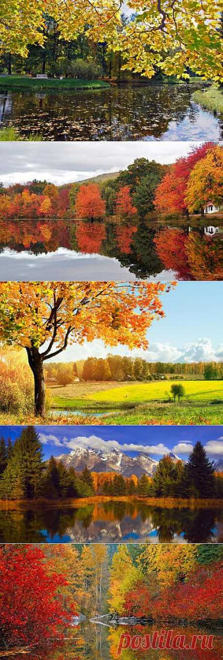 Осень на фото и картинках