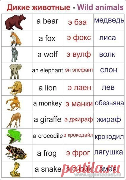 (24) Одноклассники