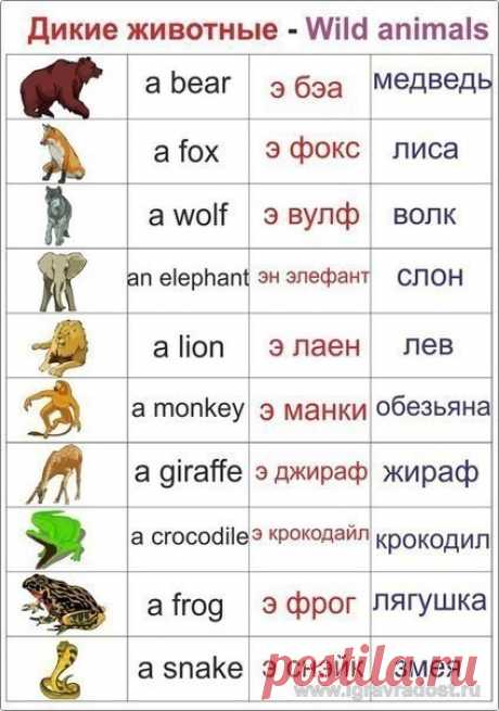 (24) Одноклассники