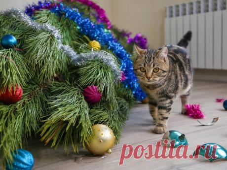 [тест] Какая ты новогодняя елка? | Новогодняя елка, которую уронил кот