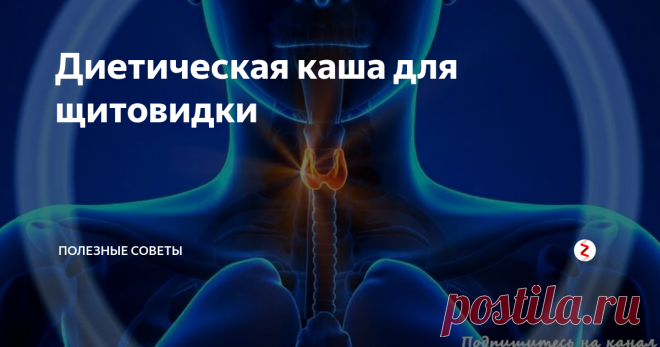 Диетическая каша для щитовидки Каждому человеку после 40 лет стоит активно поинтересоваться, где расположена в организме щитовидная железа и за что она отвечает. На самом деле на этот эндокринный орган возложены важнейшие функции:
секреция и регуляция уровня гормонов;
рост и развитие костной ткани;
стабилизация водно-солевого баланса;