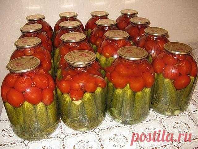 дневник Старко