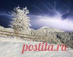 15 февраля отмечается 
