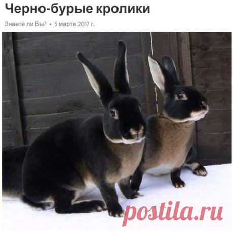 Лайфхак