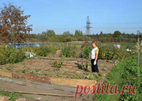 Всё что не делали, всё к лучшему! 
Однажды я поняла, что что-то в жизни идет не в ногу с природой. Мы ведём здоровый образ жизни и придерживаемся принципа: «Чисто не там где убирают, а там где не сорят». А как же наше детище – цветник…