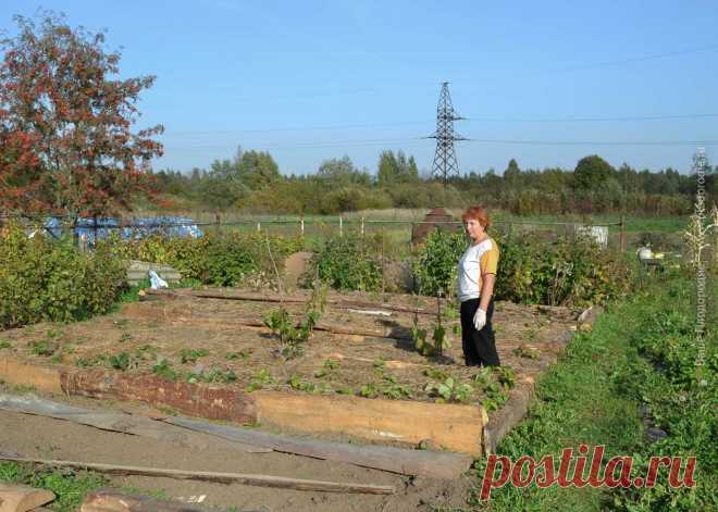 Всё что не делали, всё к лучшему! 
Однажды я поняла, что что-то в жизни идет не в ногу с природой. Мы ведём здоровый образ жизни и придерживаемся принципа: «Чисто не там где убирают, а там где не сорят». А как же наше детище – цветник…