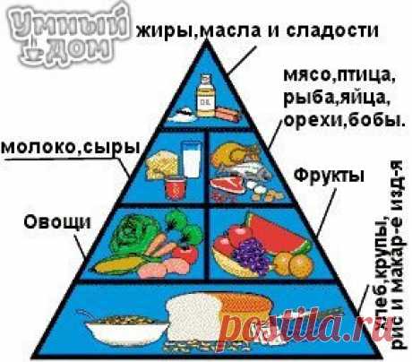 ПИРАМИДА ЗДОРОВОГО ПИТАНИЯ - Создатели Пирамиды удачно проиллюстрировали полезное соотношение продуктов питания в ежедневном рационе. Исследования показали, что графическое изображение Пирамиды Здорового Питания (см. рис.) легко воспринимается. Тем не менее, хотя в большинстве стран изображение пирамиды остается неизмененным, в Китае и Корее используется рисунок пагоды, в Канаде — радуга, Великобритания и Мексика предпочли тарелку, а Австралия, Швеция и часть европейских стран приняли…