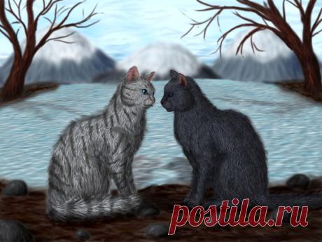 Обои Два кота сидят напротив друг друга, by Alisa222 на рабочий стол, страница