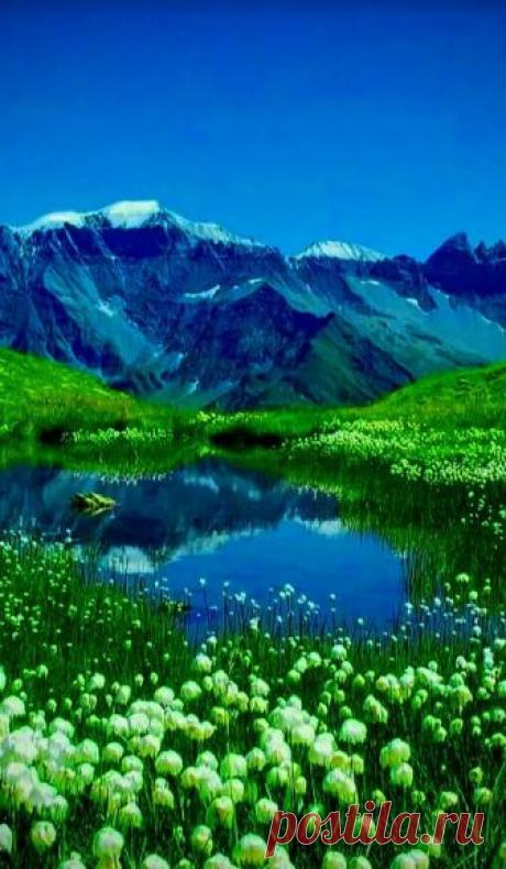 Pinterest (Pin) (157)