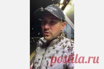 Нашествие мошек и саранчи на российской трассе попало на видео. На трассе в Астраханской области водитель заметил нашествие мошек и саранчи. На опубликованных кадрах автомобилист стоит на заправке, насекомые буквально усеяли его одежду и лицо. Нашествие мошек и саранчи объясняется теплой погодой, сейчас в Астраханской области днем воздух прогревается до 14 градусов.