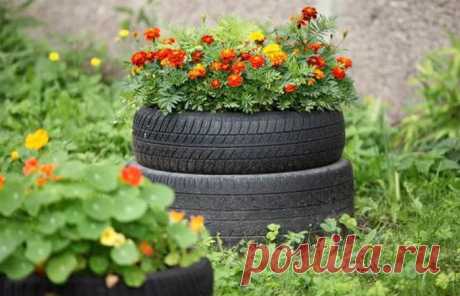 Почему не стоит делать цветочные клумбы из старых автомобильных шин В России в каждом дворе, особенно построенного во времена Советского Союза, есть уникальный атрибут — цветочная клумба, изготовленная из старых автомобильных шин. В них выращивают цветы,...