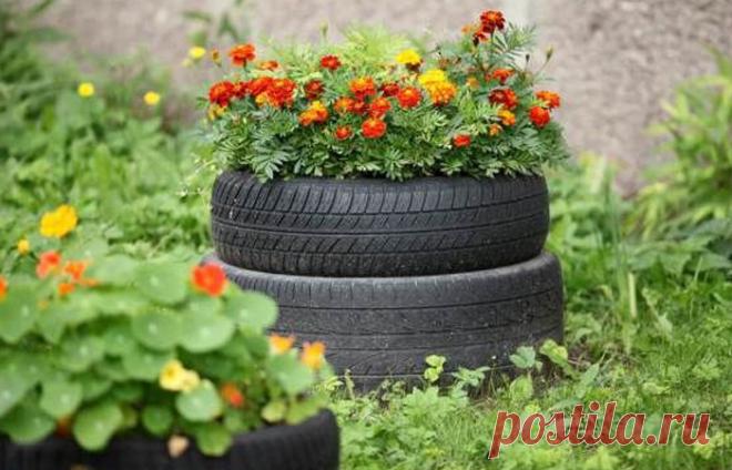 Почему не стоит делать цветочные клумбы из старых автомобильных шин В России в каждом дворе, особенно построенного во времена Советского Союза, есть уникальный атрибут — цветочная клумба, изготовленная из старых автомобильных шин. В них выращивают цветы,...