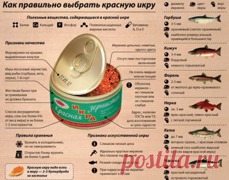 Можно ли замораживать красную икру для хранения в морозилке: отзывы