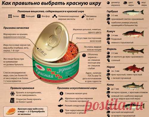 Можно ли замораживать красную икру для хранения в морозилке: отзывы