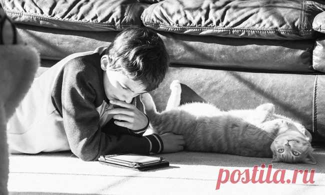 Потрясающие рассказы из 55 слов. (Краткость чья-то там сестра, короче прочтите не пожалеете да и времени займёт не много.)