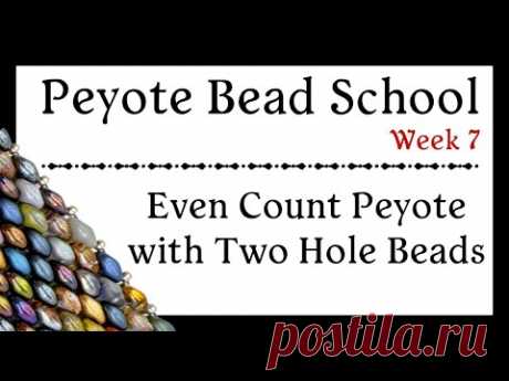 Even Count Peyote with Two Hole Beads - Peyote Bead School - Week 7