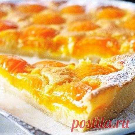 6 РЕЦЕПТОВ ВКУСНЫХ ПИРОГОВ С АБРИКОСАМИ