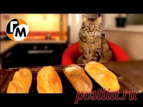 ХЛЕБ НА ДОПЕК или БАГЕТ ЗА 10 МИНУТ -- Голодный Мужчина, Выпуск 160