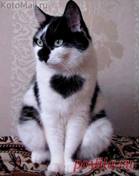 Творит природа чудеса