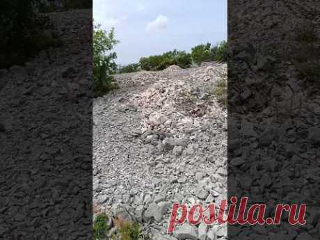 где оливковые деревья 🤨 Путь над морем #croatia